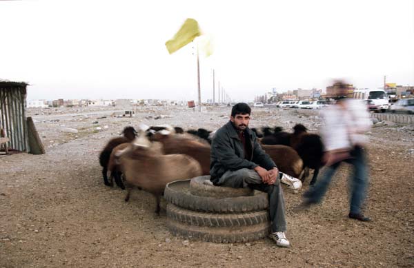 معصومه شمس، بدون عنوان