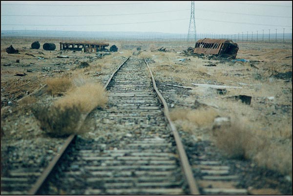 زهرا اخوان دیلمی