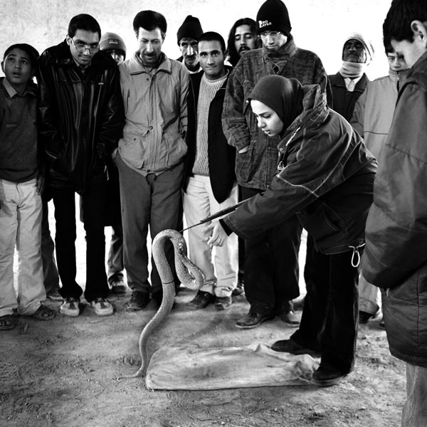 موسی حاجی نژاد،برگزیده