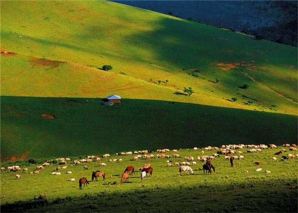 محسن محمد خانى – عکس ۲