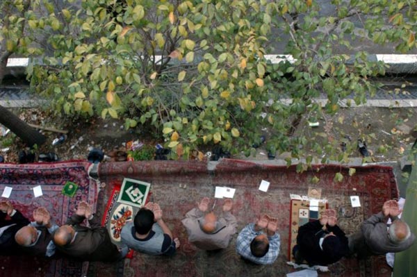 محسن سجادی