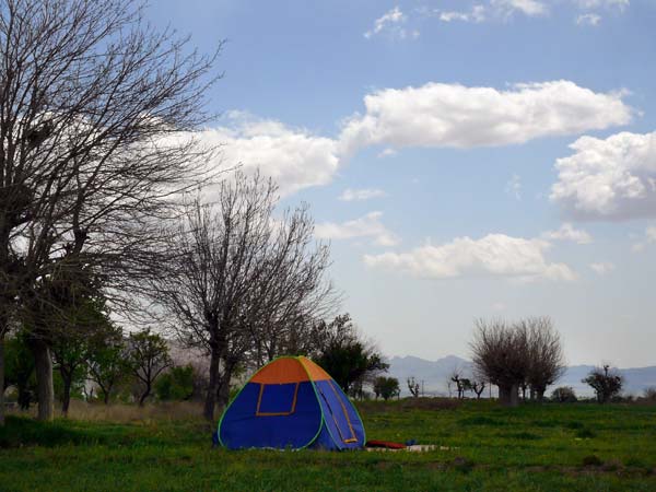 میثم امانی،روستای عباس،جاده قدیم تربت حیدریه به مشهد