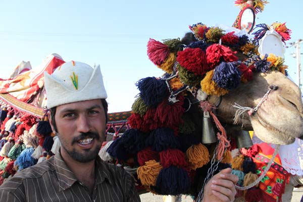 نیلوفر بنی واهب، مسیر جاده میبد به یزد