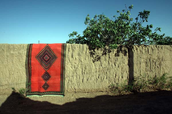 سید محسن سجادی