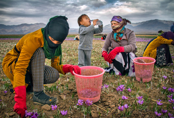 هادی دهقانپور – عکس ۴